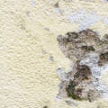 Why You Should Hire a Professional for Stucco Repair in Calgary